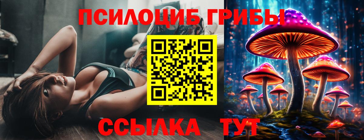 Галлюциногенные грибы прущие грибы  Вход с VPN  где можно купить   Грязи 