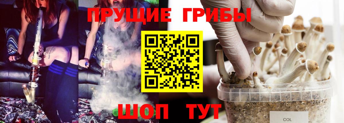 Галлюциногенные грибы мицелий Грязи